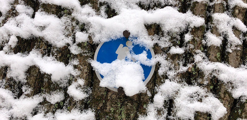 Trail marker on a snowy day in the Allegany Mountains
