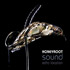 Honeyroot Sound Echo Location